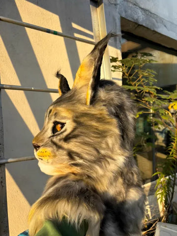 Realistic Maine Coon Cat Head Fursuit