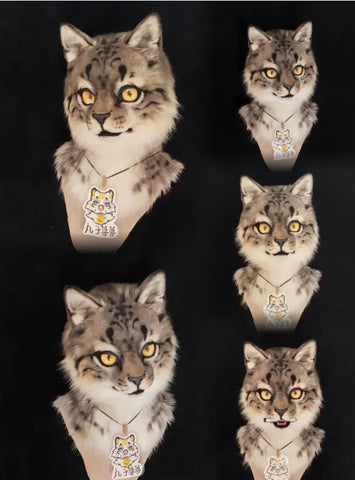 Realistic Tabby Cat Head Fursuit